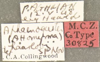 Media type: image; Entomology 30825   Aspect: labels